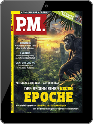 P.M. Magazin Digital E-Paper 